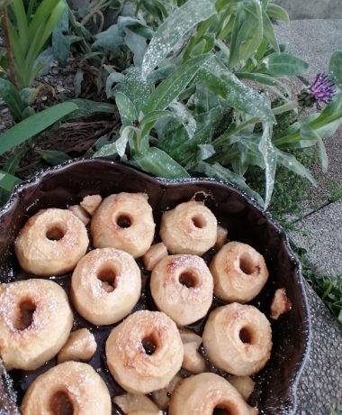 Bernard de Clairvaux’s Apples in applesauce