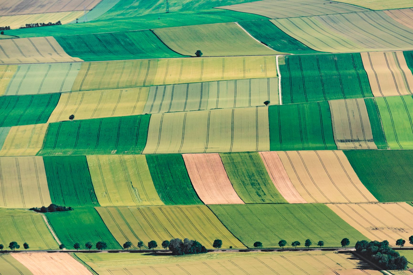 The multifaceted Aube in Champagne