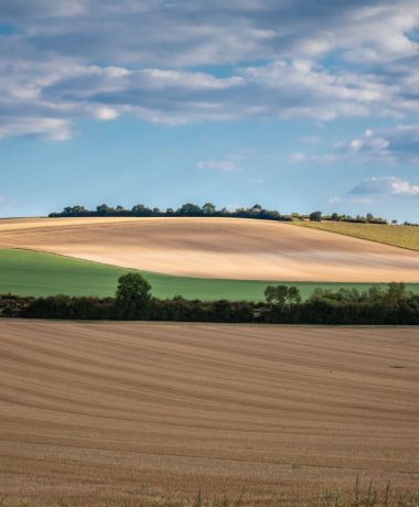 Between The Plain And The Barrois Plateau