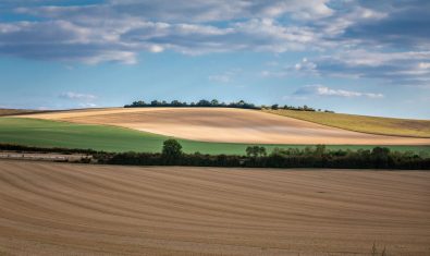 Between The Plain And The Barrois Plateau