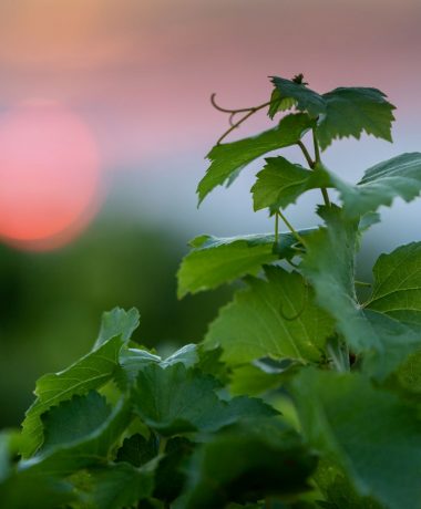 Between 5 and 10 kilometers around Troyes