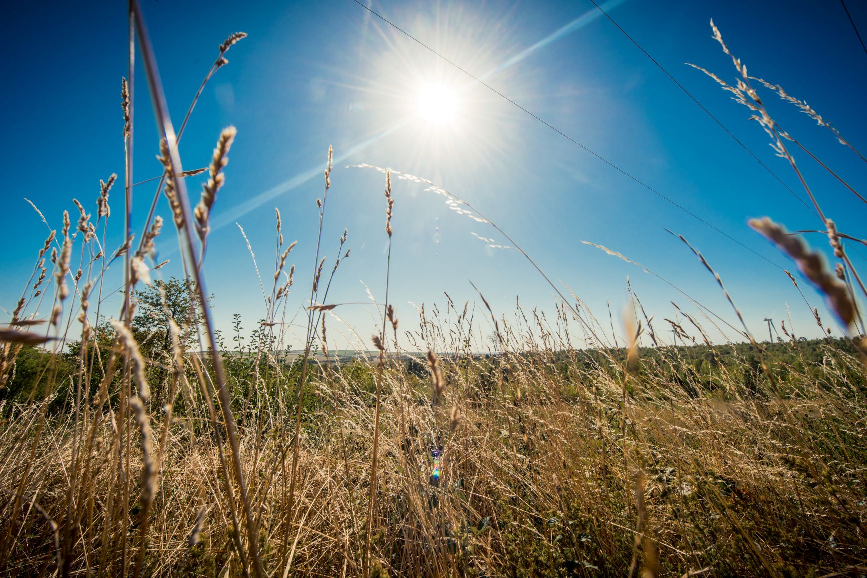 The brand « Troyes la Champagne »