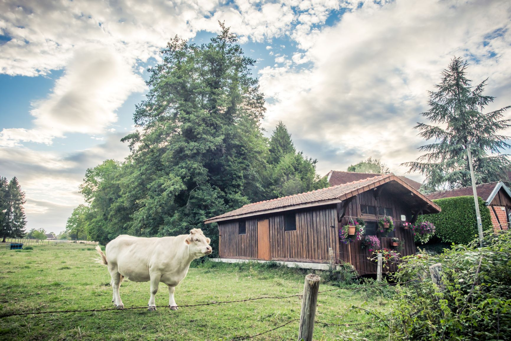 Around Troyes La Champagne – The essentials