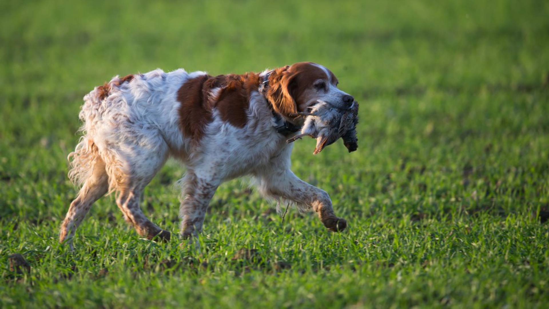 Finding a hunting location