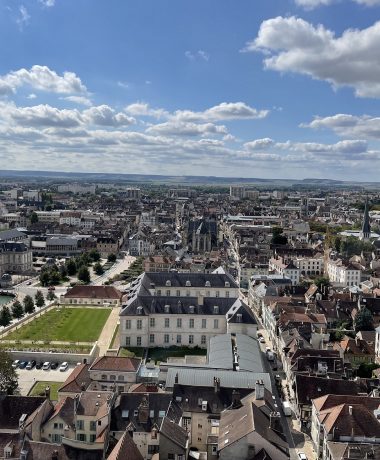 Like a bird without wings!