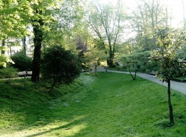 The « little gardens » of Troyes