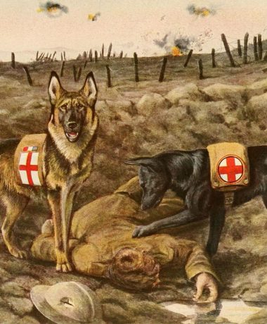 A tribute to my ancestors!