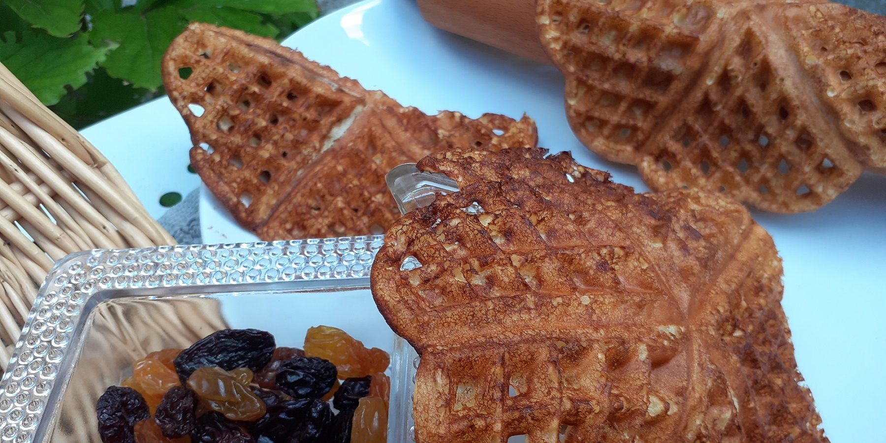 The « Oubliès » by Rachi