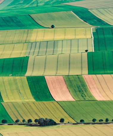 The multifaceted Aube in Champagne