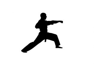 Cercle troyen self defense tonfa pro