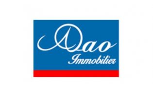 Dao Immobilier