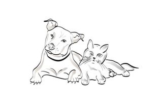 Ecole canine – Comportementaliste animalier