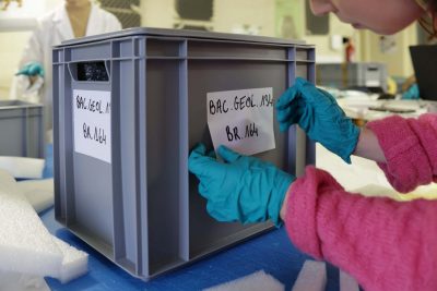 Conférence – Le Grand Déménagement du Musée St-Loup