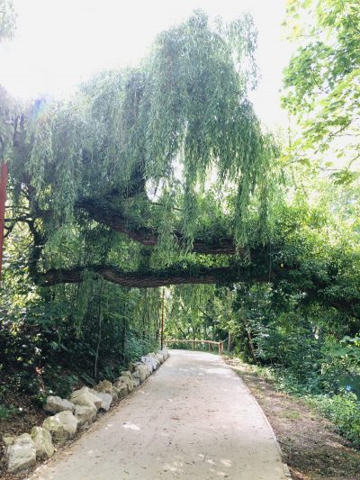 Atelier “bien-être & naturopathie” en Automne