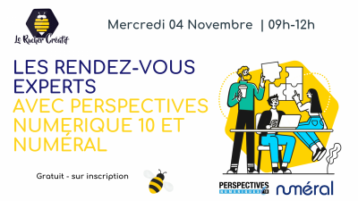 Les Rendez-vous Experts avec Perspectives Numérique 10 et Numéral