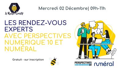 Les Rendez-vous Experts avec Perspectives Numérique 10